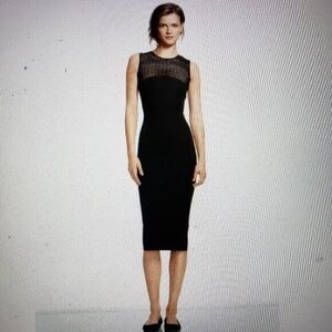 Banana Republic for Roland Mouret Lace Yoke Dress